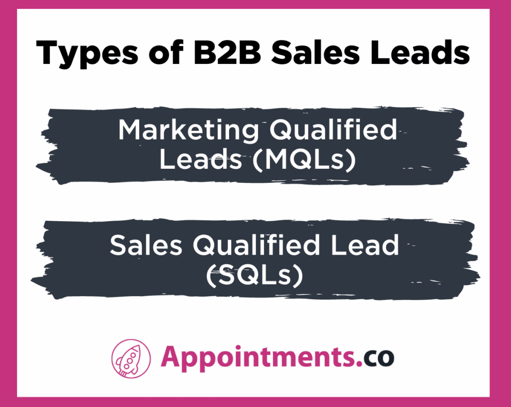 Types of B2B Sales Leads